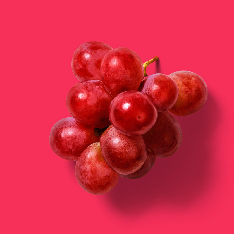 el diseño web